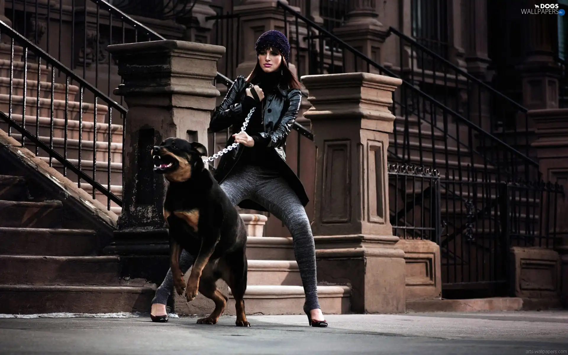 Rottweiler, Women