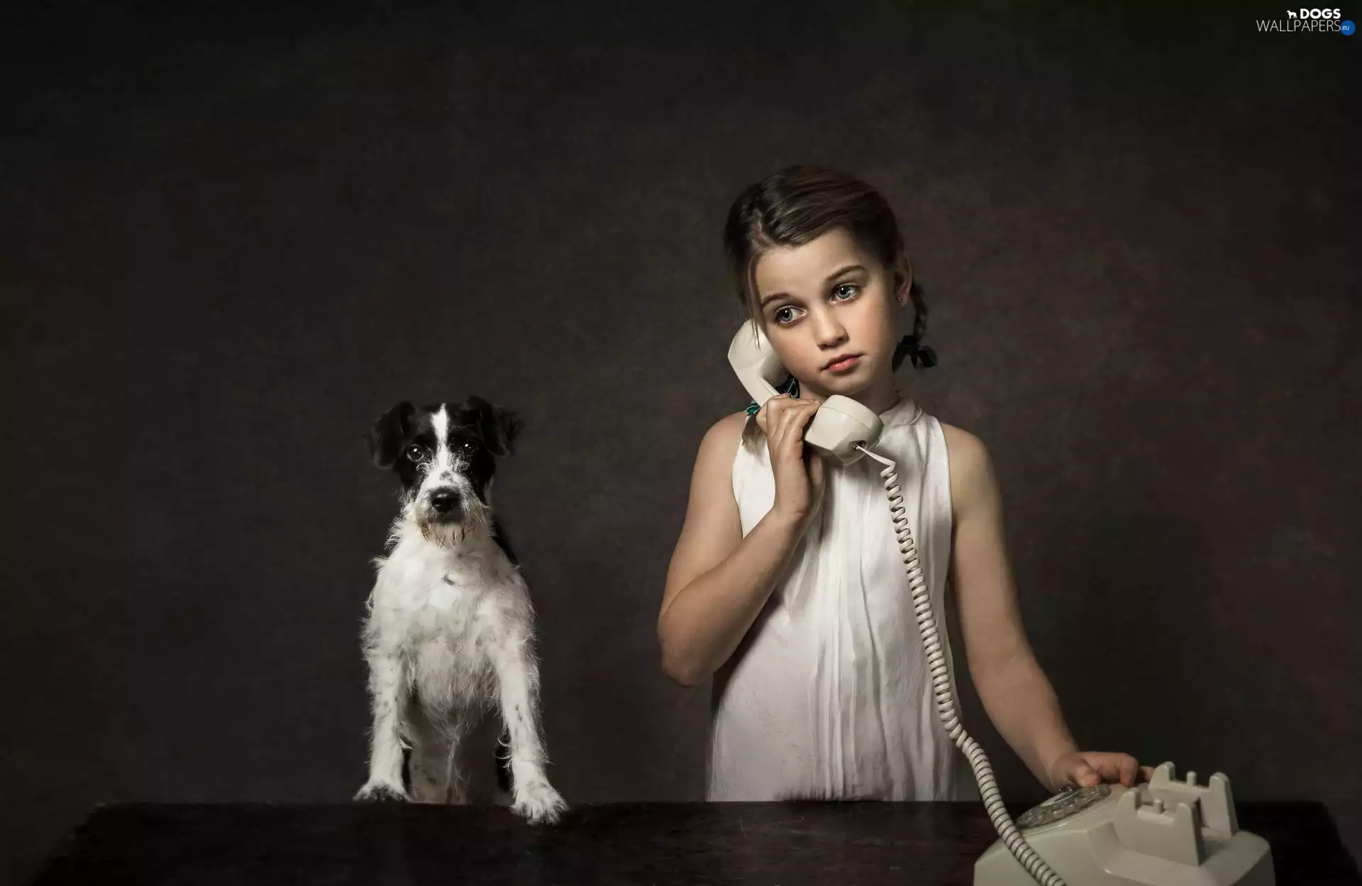 girl, dog, Parson Russell Terrier, Telephone