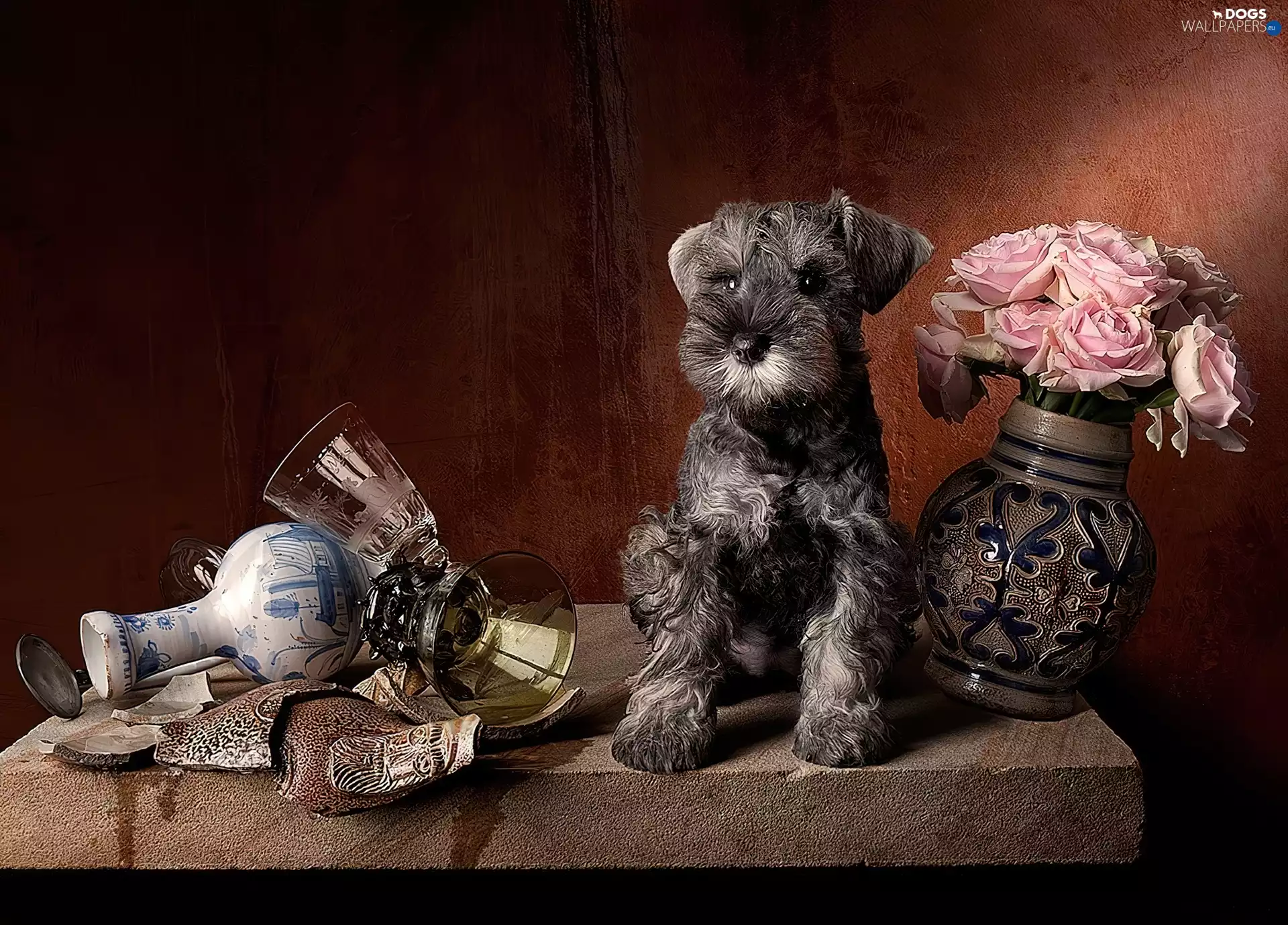 Schnauzer, small, Menace