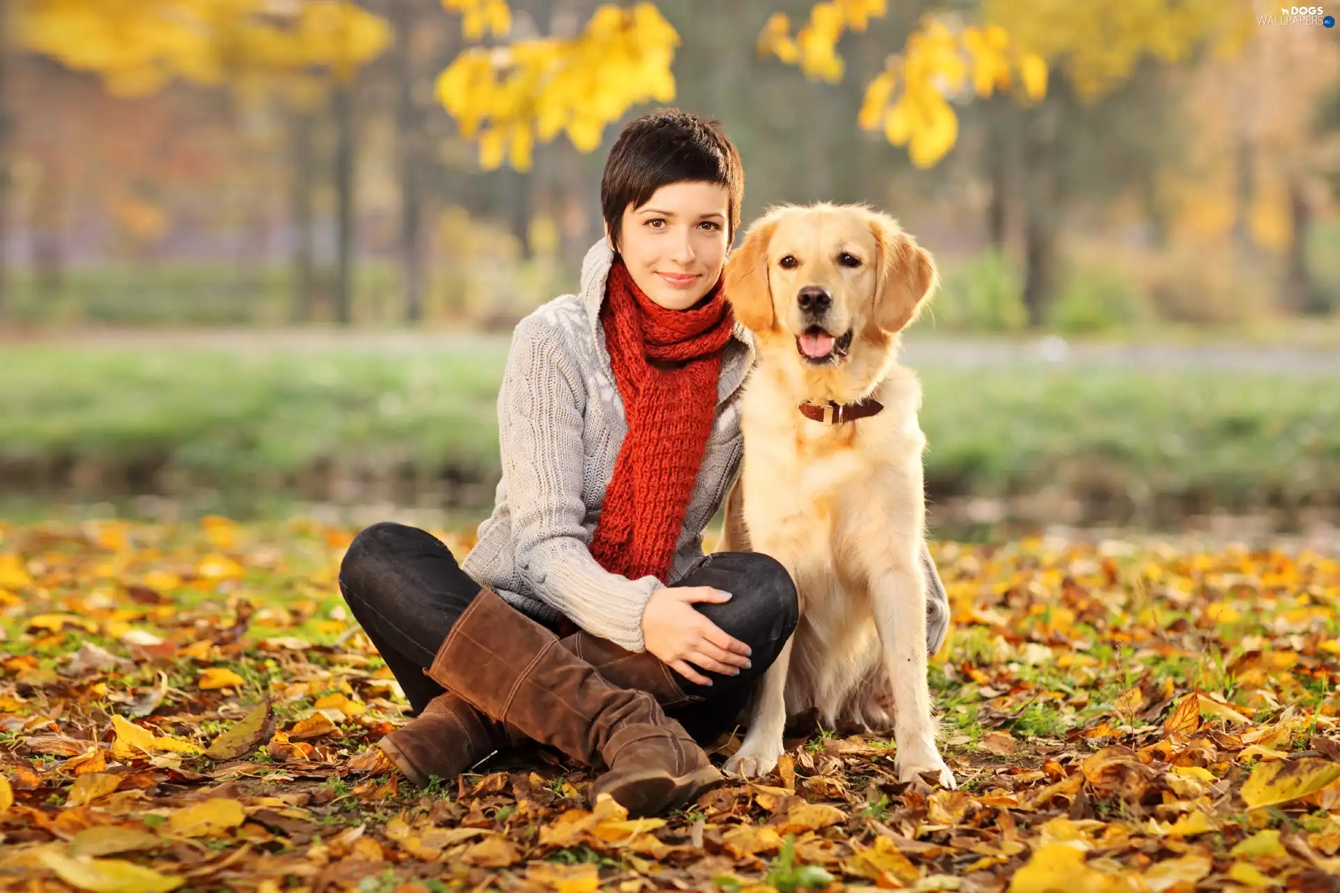 shawl, Leaf, Women, dog