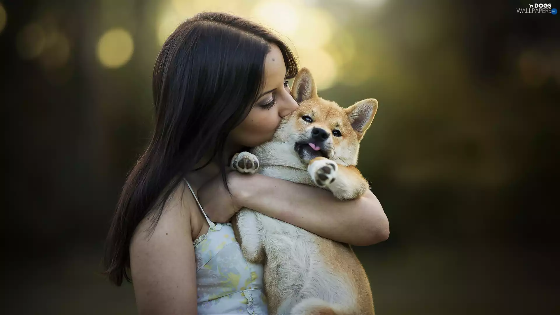 Women, Shiba inu, friends, dog