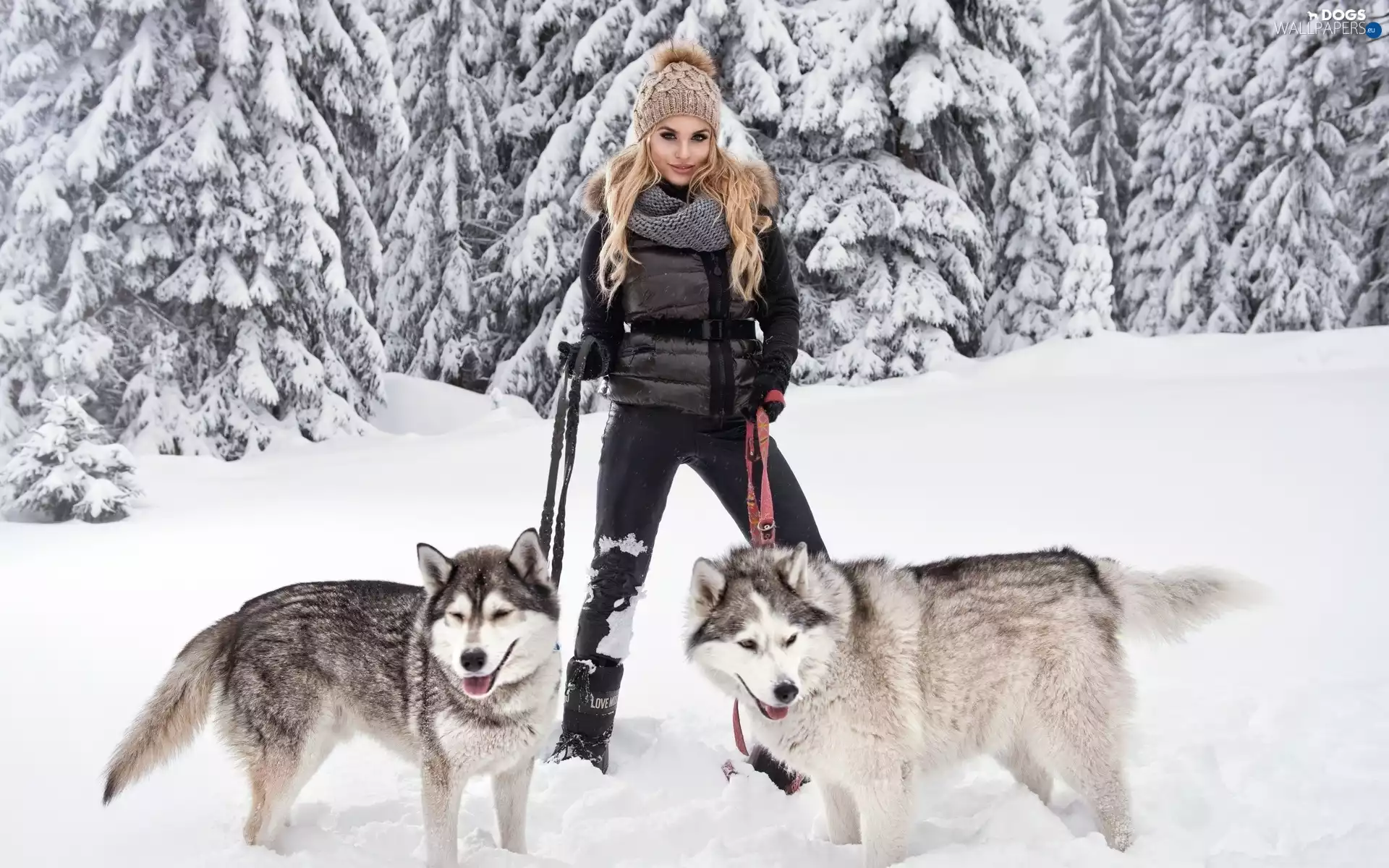 girl, winter, Dogs, Siberian Husky, wander, forest