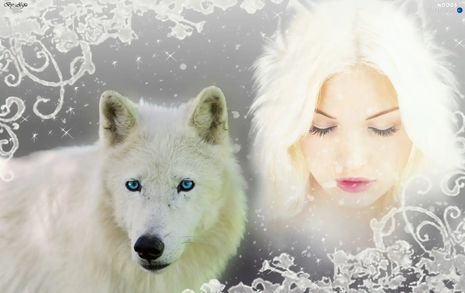 Siberian Husky, Women, White