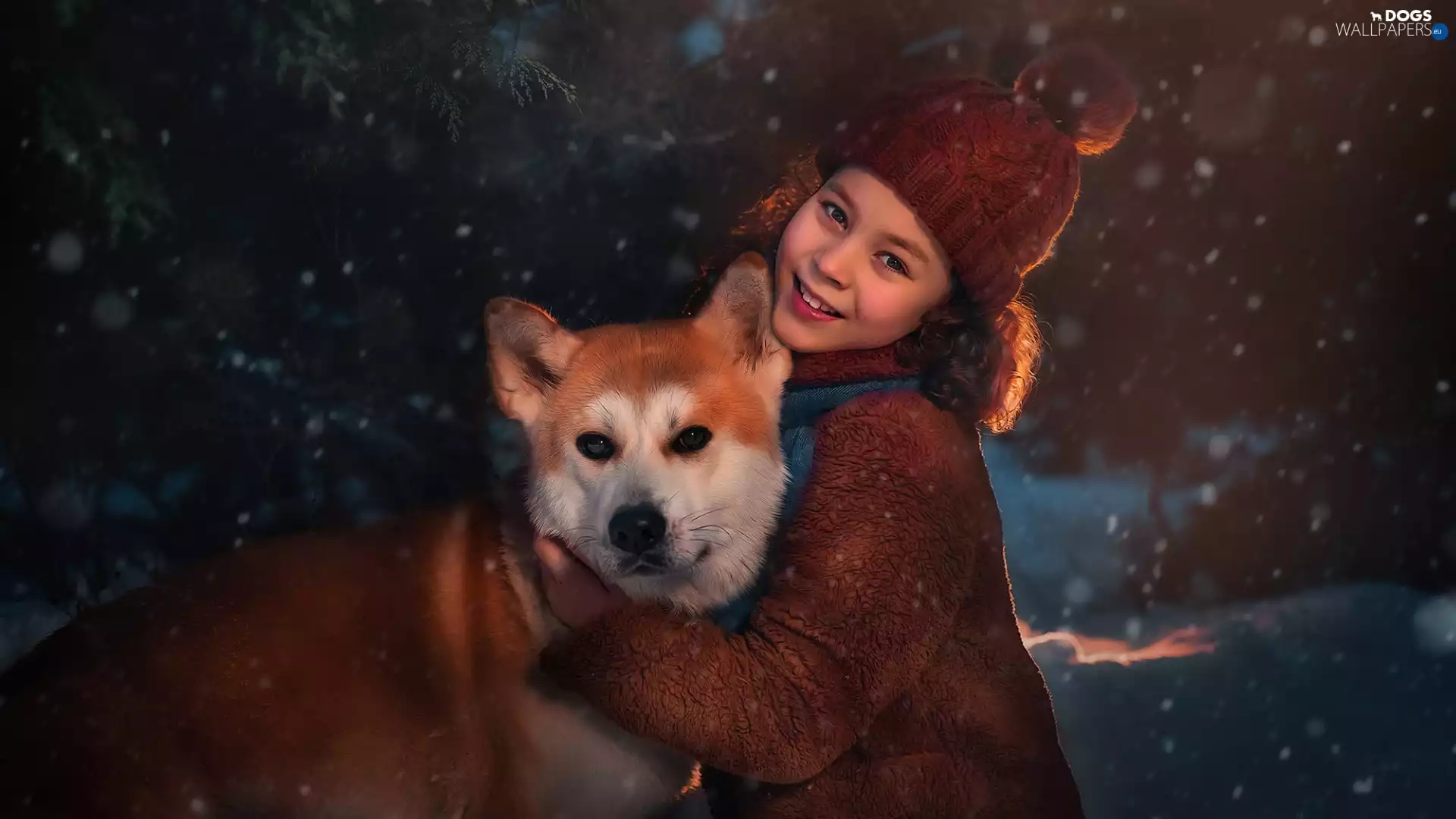 dog, Shiba inu, Smile, Hat, girl