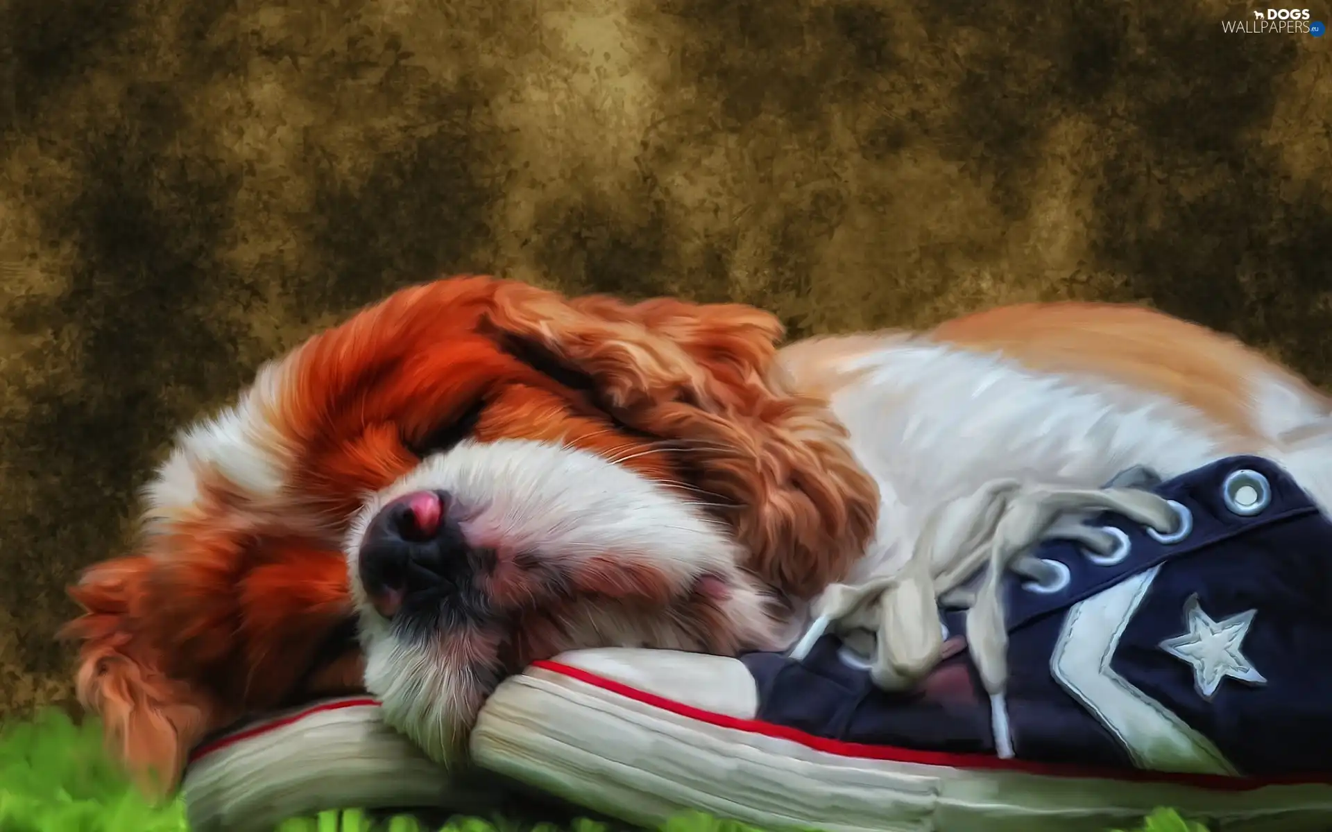 dream, sneakers, dog