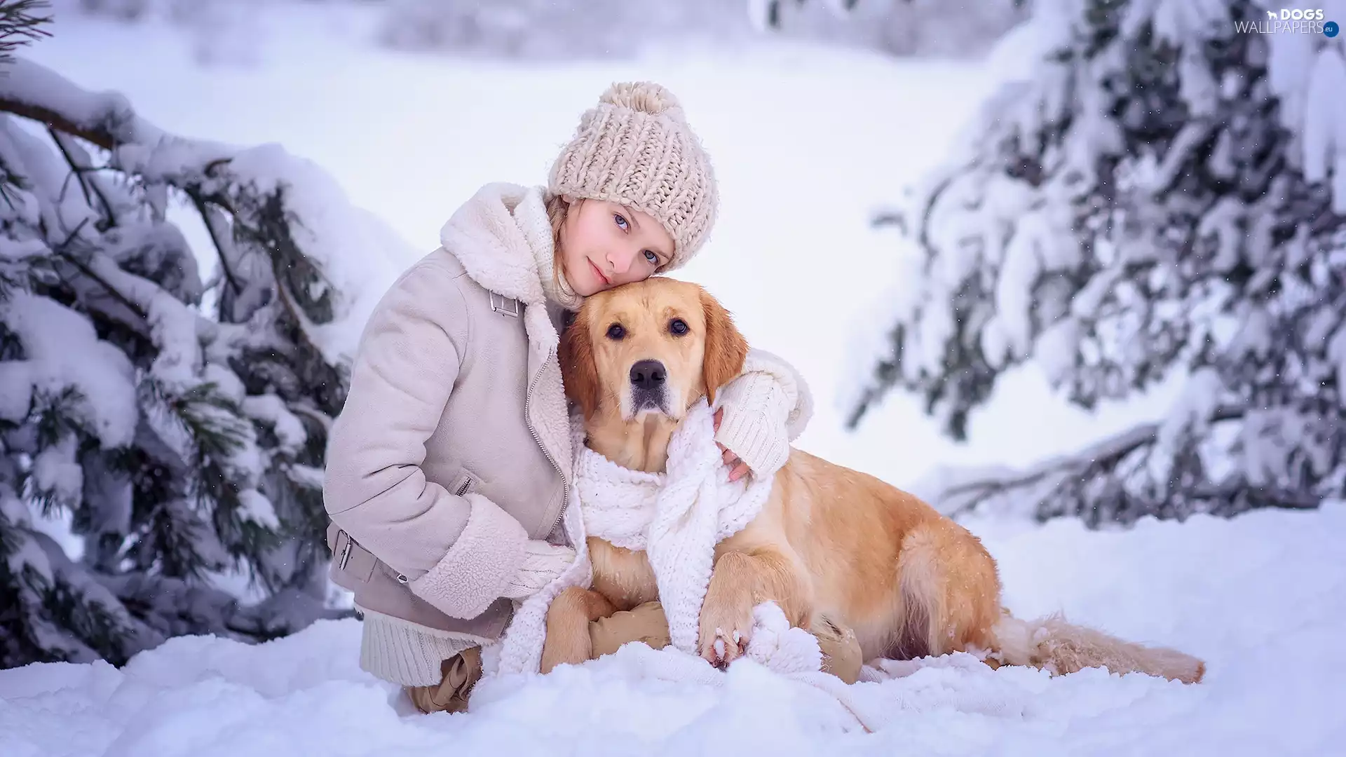 Golden Retriever, girl, snow, Scarf, winter, dog