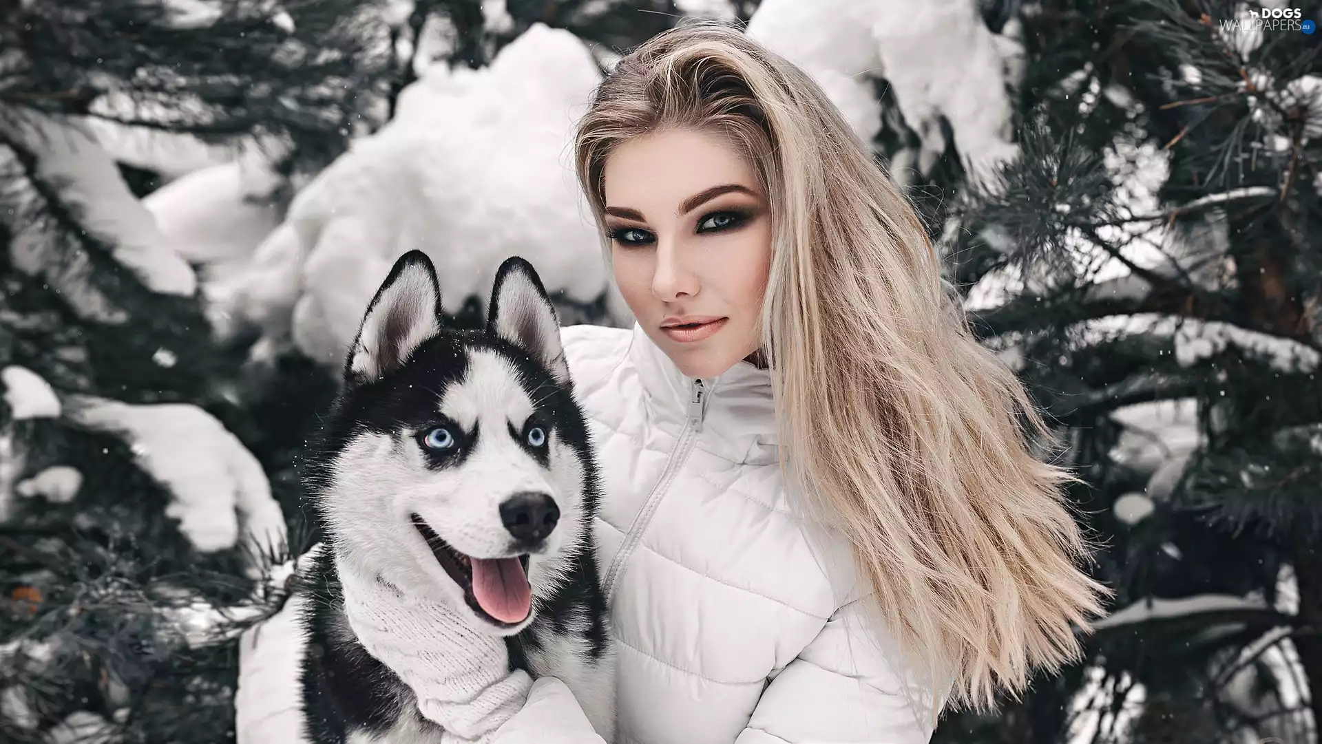 dog, girl, winter, snow, Siberian Husky, Blonde