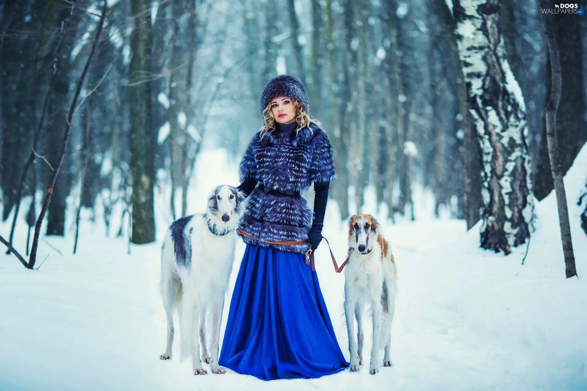 snow, forest, Women, Dogs