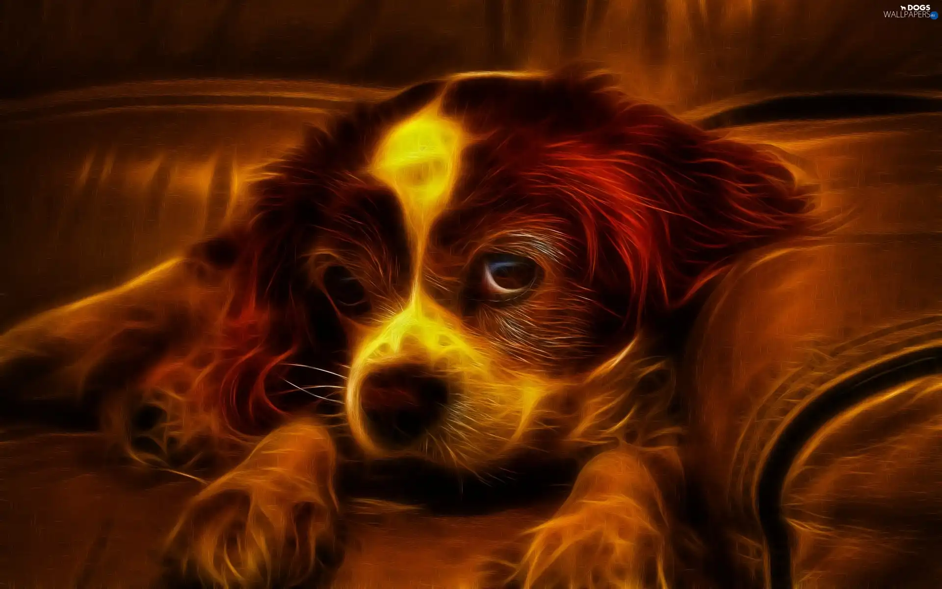 Sofa, dog