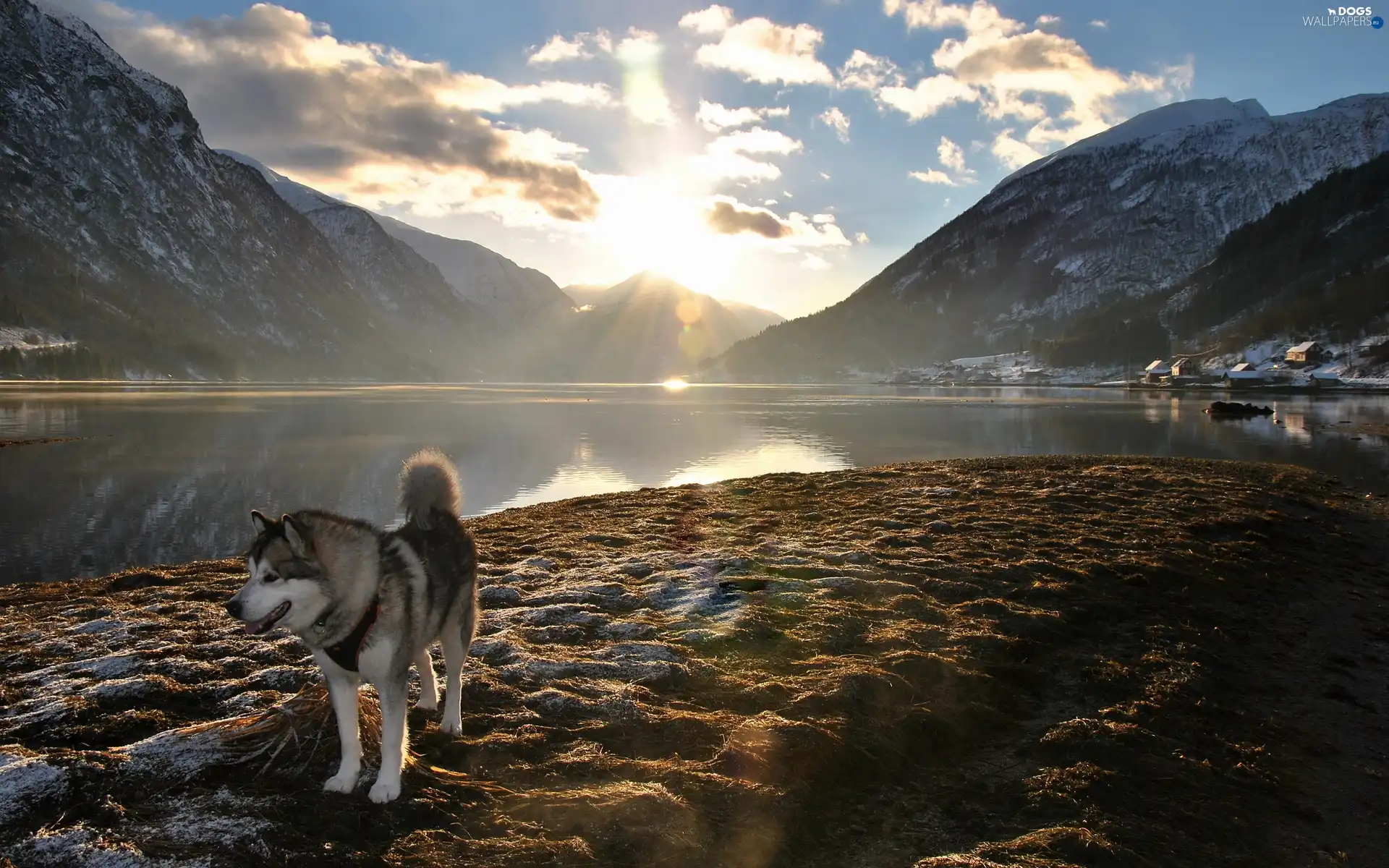sun, Mountains, rays, Husky, clouds, lake