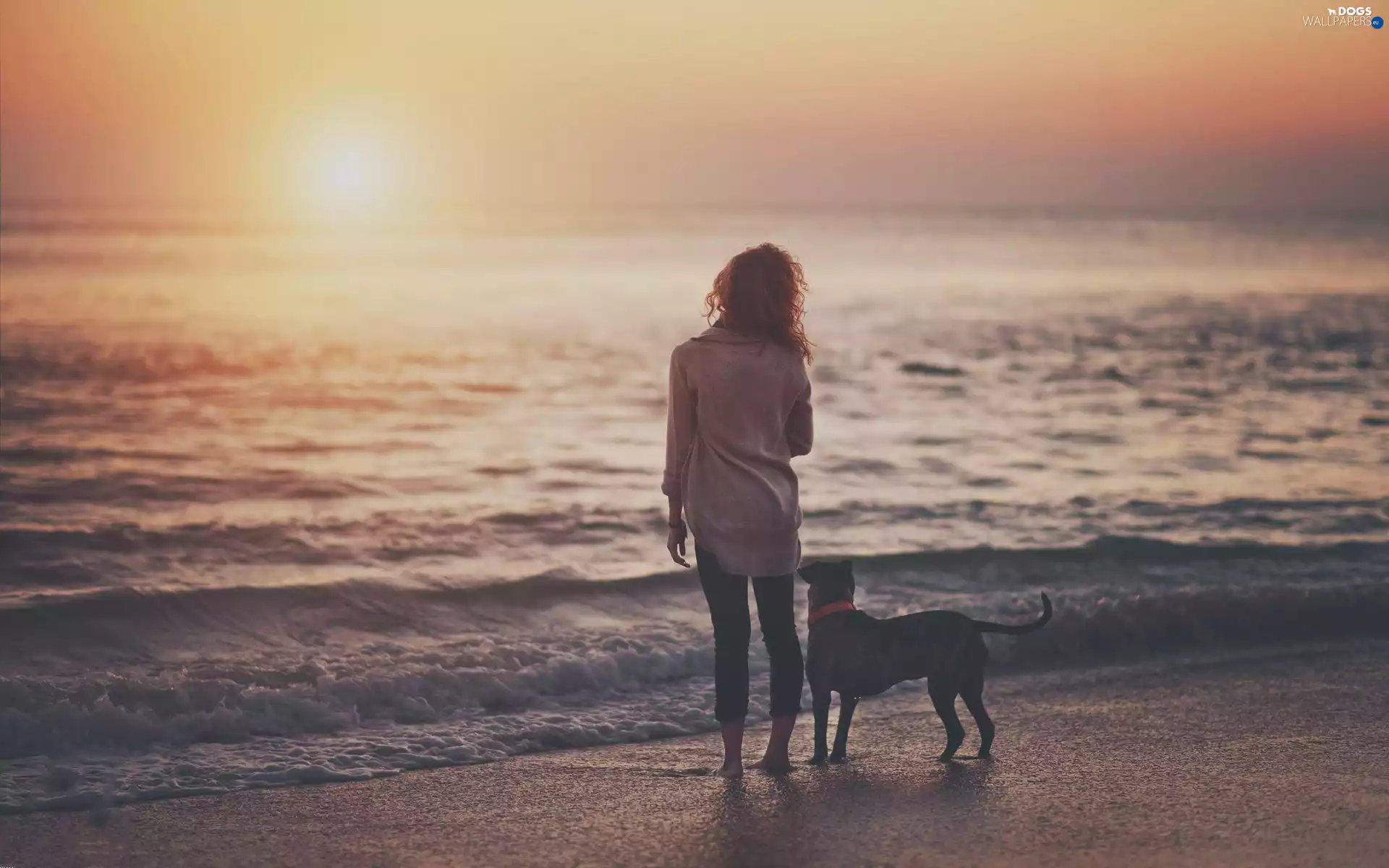 west, sun, sea, Amstaff, Women