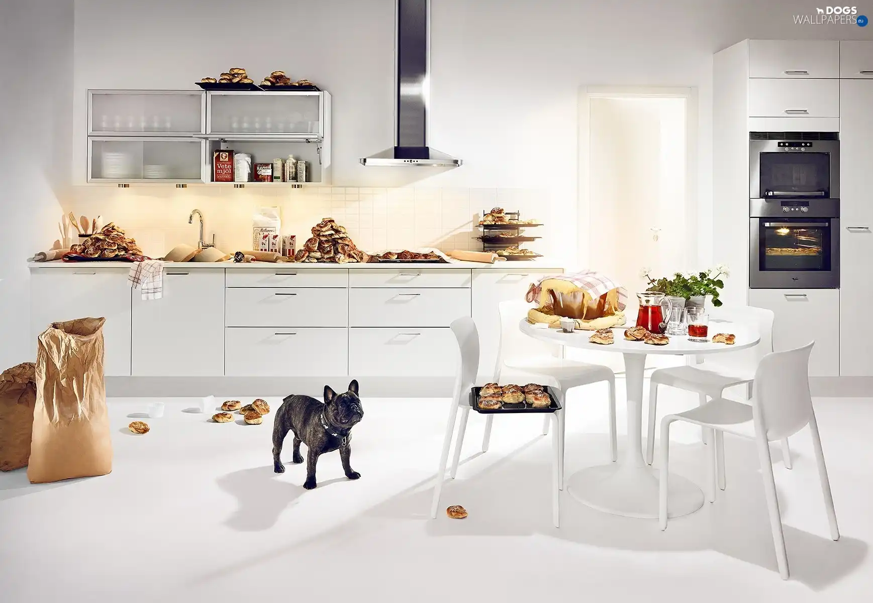 Table, sweet, Buns, Kitchen, Stool, dog