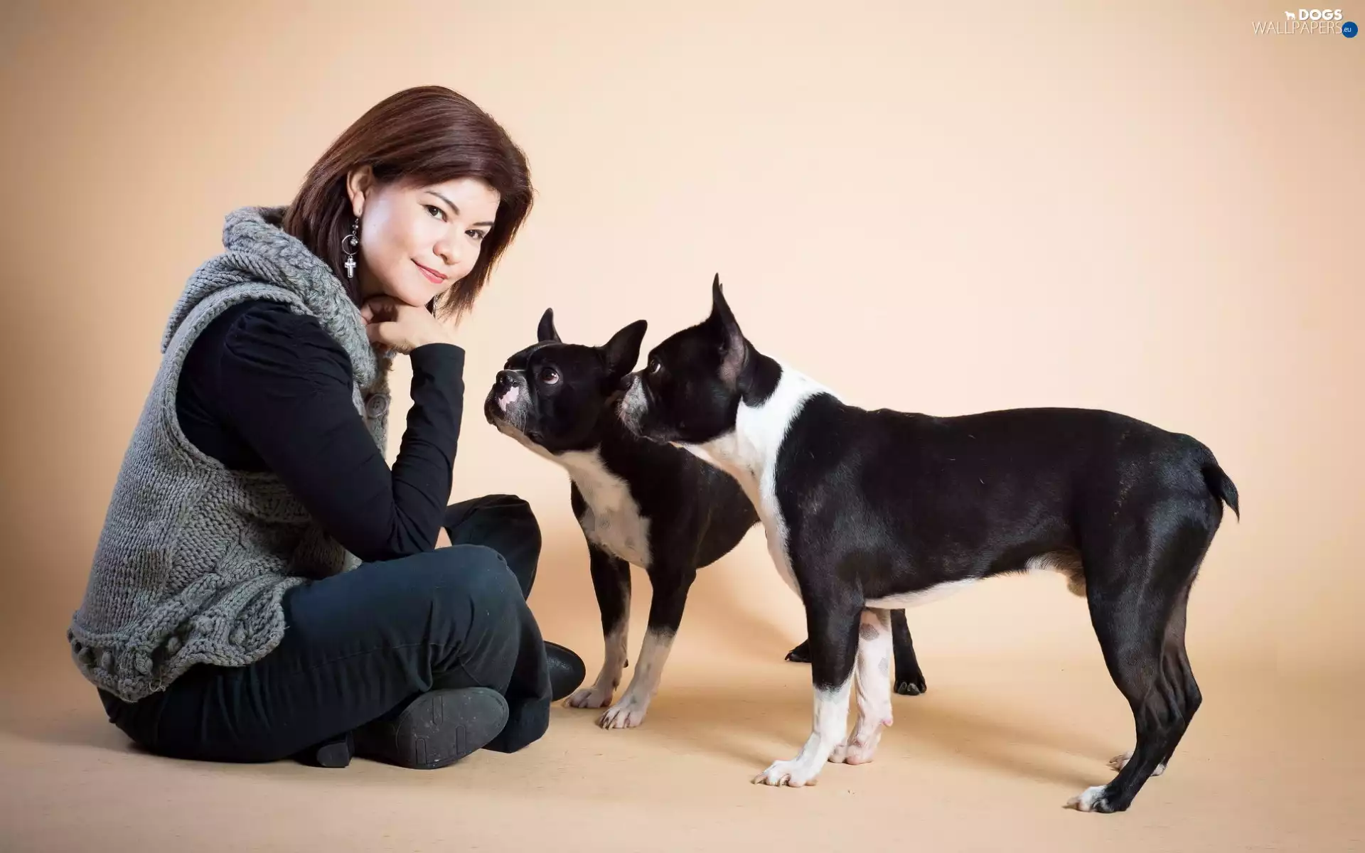 Boston Terriers, Women, Two cars