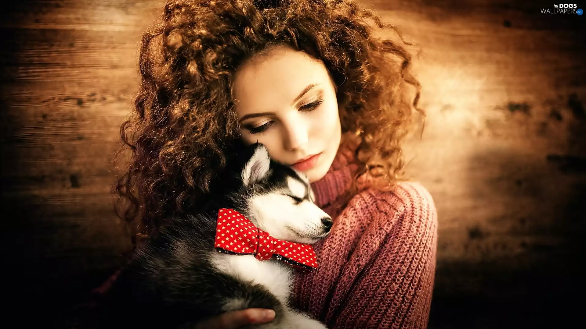 puppie, sad, Coloured, girl, young, Husky, bow tie