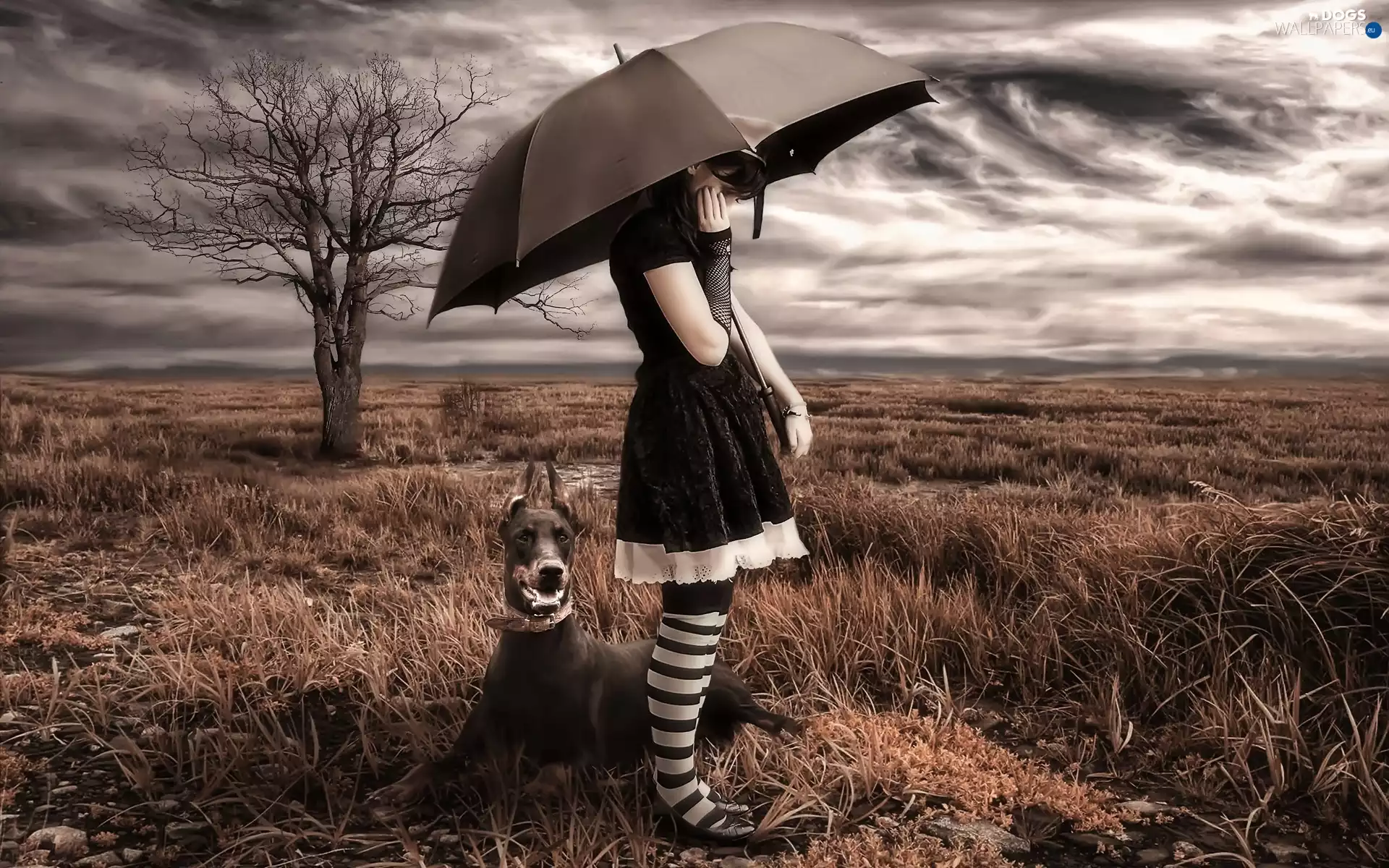 girl, clouds, dog, trees, Meadow, Umbrella, Doberman