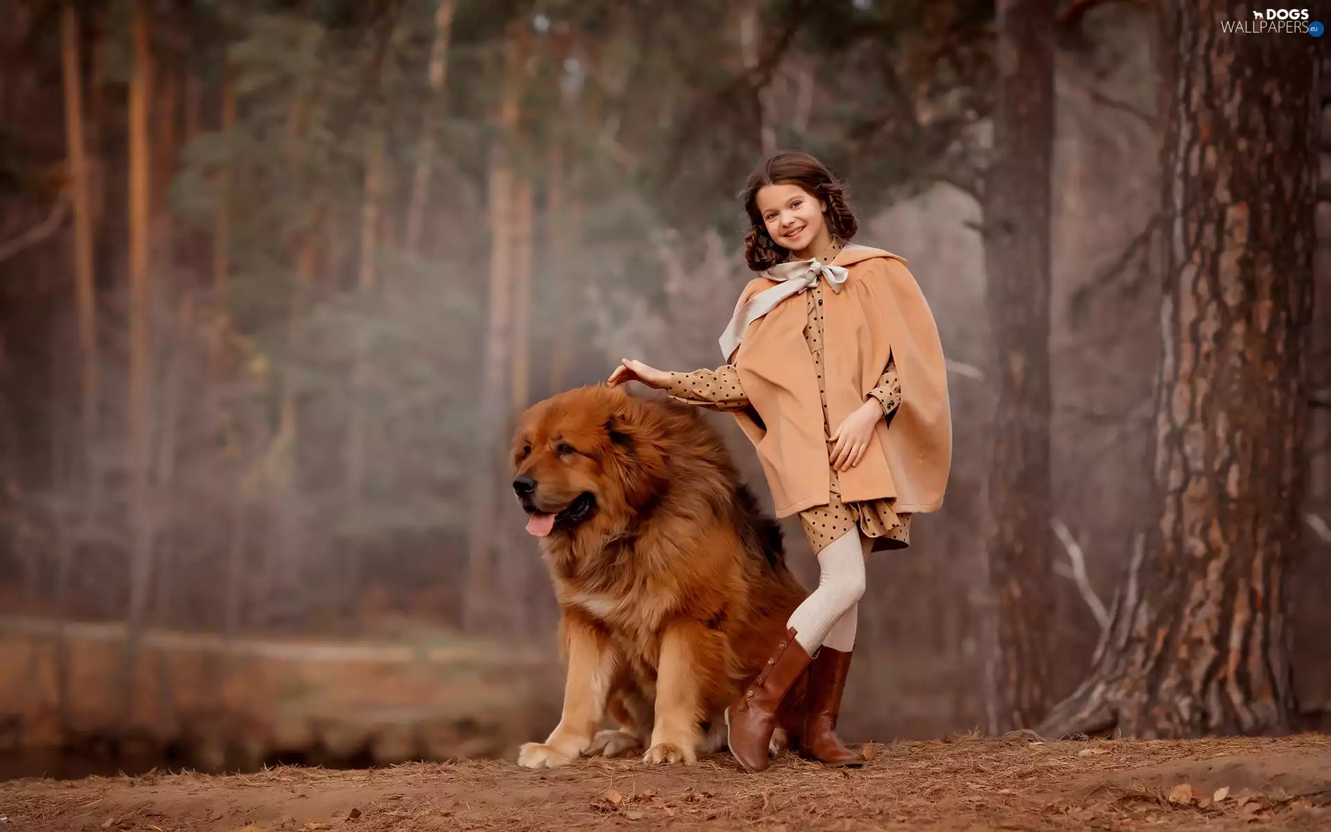 dog, Tibetan Mastiff, viewes, girl, trees
