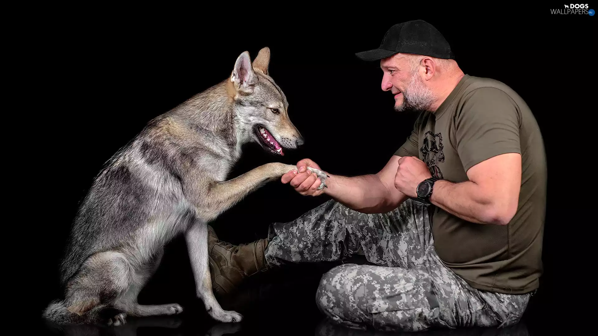 Watch, Hat, Czechoslovakian Wolfdog, beard, a man, dog, paw