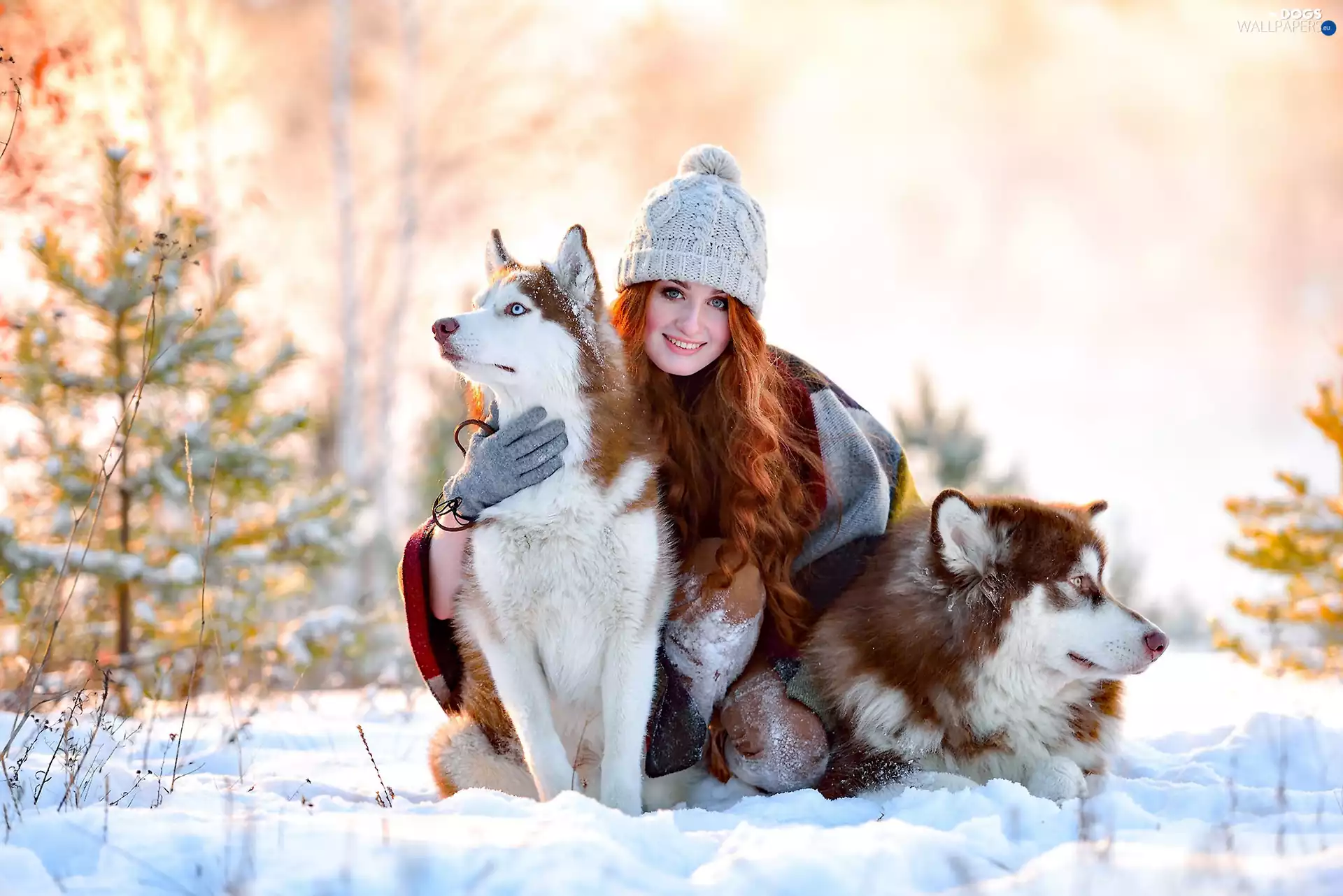 Siberian Husky, winter, Women
