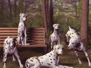 3D, Dogs, Dalmatians