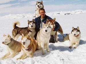 a man, Siberian Husky, winter