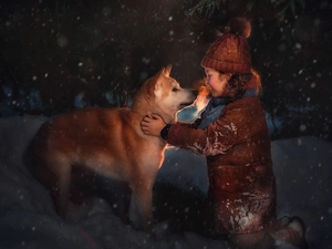 snow, winter, dog, Akita Inu, girl