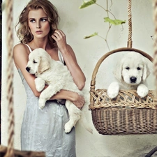 puppies, basket, Women