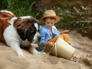 dog, Bernard, boy, Hat, Kid