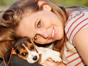 smiling, Puppy, Beagle, Blonde