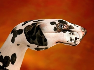 Bodypaint, Dalmatian