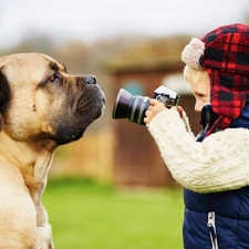 dog, Camera, boy