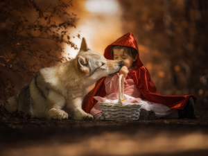 cape, girl, dog, red hot, Kid, Red hood, Czechoslovakian Wolfdog
