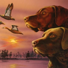 Chesapeake Bay retrievery, ducks, Two cars