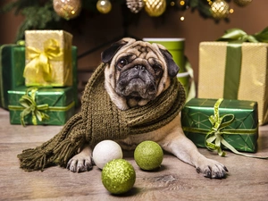 Scarf, pug, baubles, christmas, gifts, dog