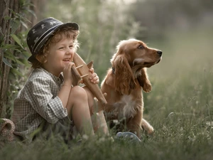 English Cocker Spaniel, boy, dog
