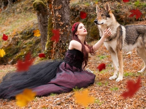 Falling, Leaf, dog, Czechoslovakian Wolfdog, Women