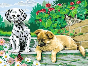 cat, Flowers, Dogs, Dalmatian, Two cars