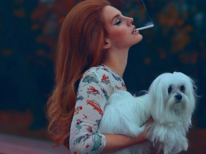 Lhasa Apso, Lana Del Rey, dog