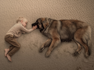 boy, Leonberger, Beaches, dog