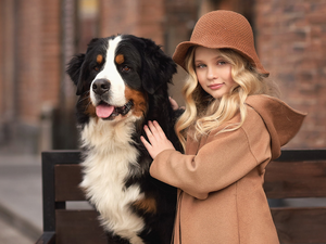 girl, Bernese Mountain Dog, Bench, Hat