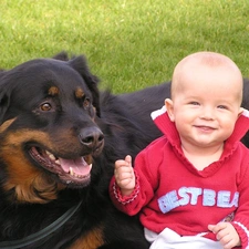 Meadow, dog, boy