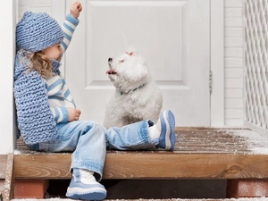 Miniature Poodle, girl, dog