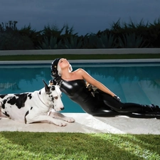 Dog, dog, Lady, Pool, Gaga