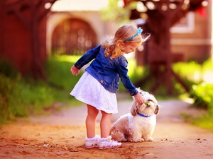 Shih Tzu, girl, dog