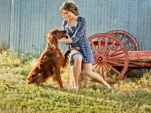 summer, Irish Setter, dog, country, Women