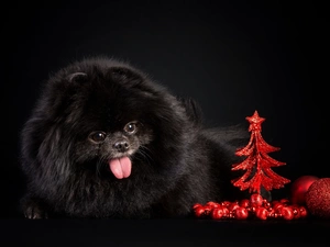 christmas tree, baubles, doggy, Tounge, Black