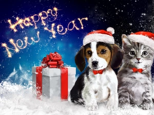 Christmas, New Year, doggy, Present, kitten