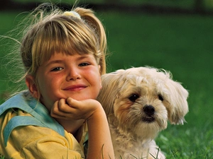 Shih Tzu, girl, doggy