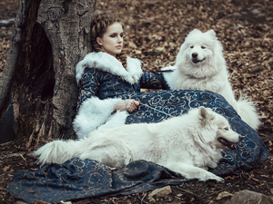 Women, Dogs, Samojedy, Two cars