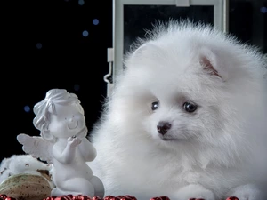 Puppy, figure, angel, Toy Spitz
