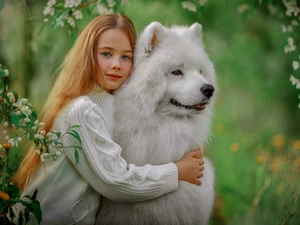dog, redhead, Twigs, Flowers, Samojed, girl